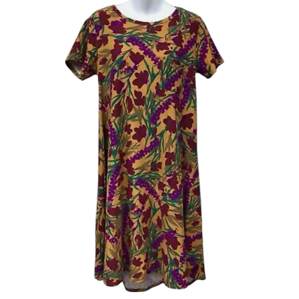 LuLaRoe Size Small Carly Dress "Fall Floral Colors" Womens High Low Hem NWT